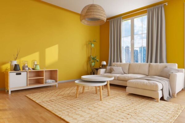 Ash White Color Paint