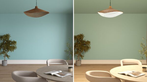 Ash White Color Paint