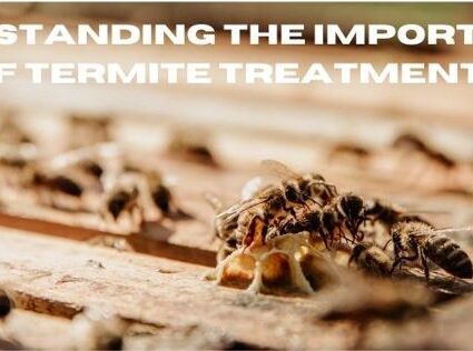 Termite Treatment