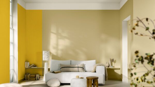 Ash White Color Paint